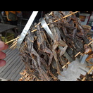 und von der Oberseite